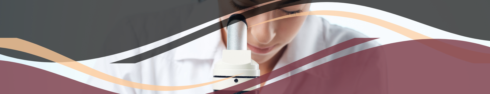 4.3.1.3 | Image analysis and diagnostics