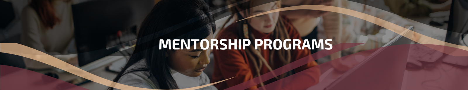 Mentorship Programs
