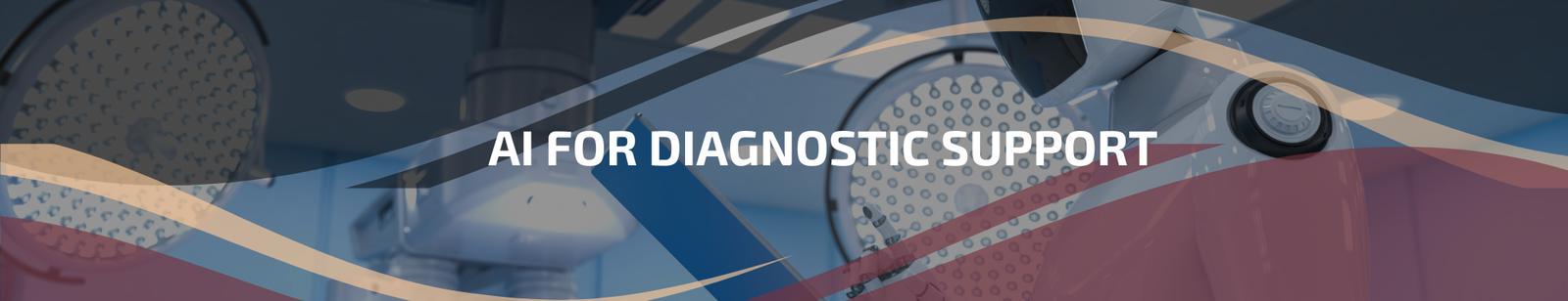 4.4.1 | Clinical Diagnostic Support